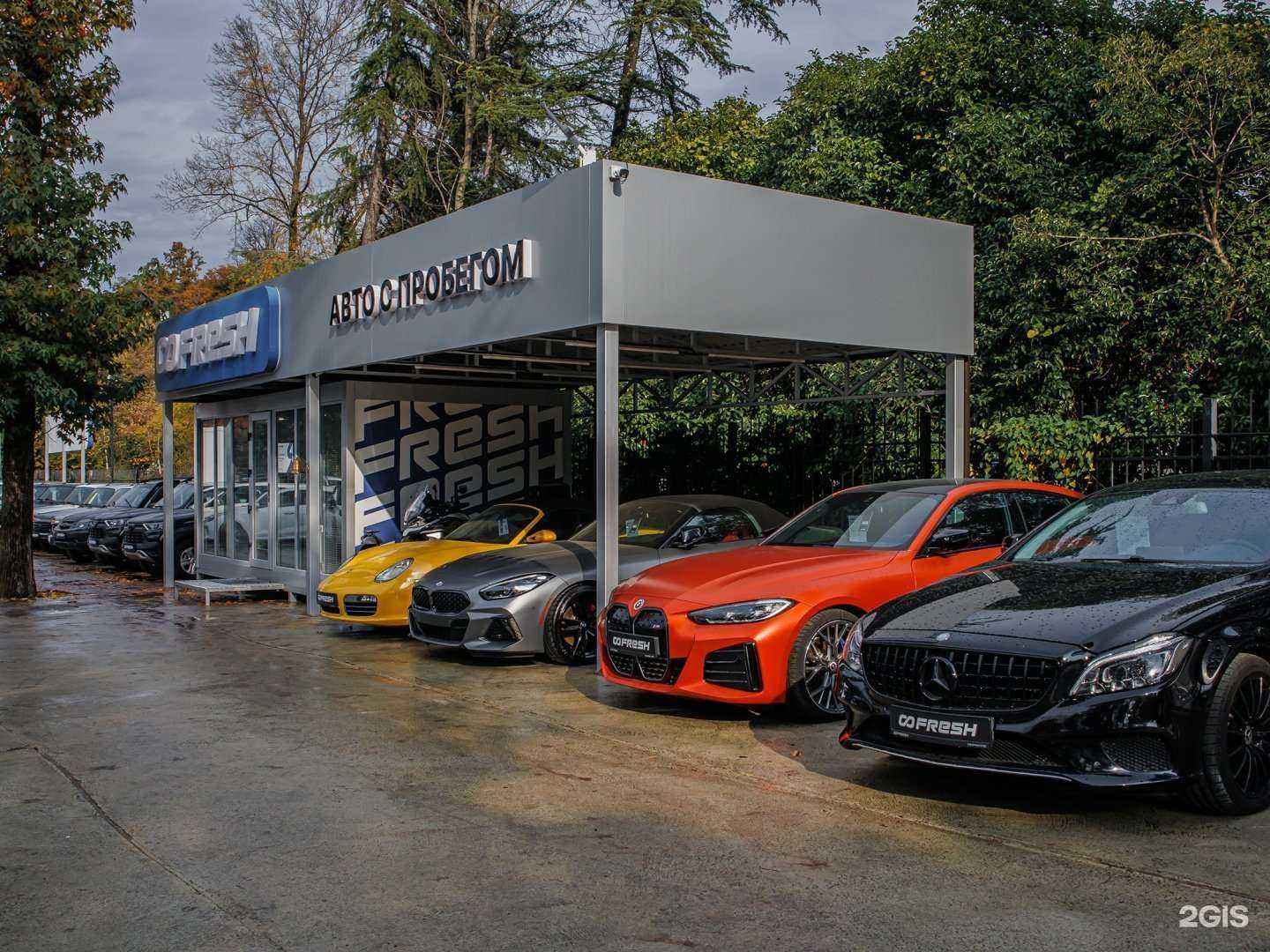 Отзывы на компанию Fresh  в Сочи c фото