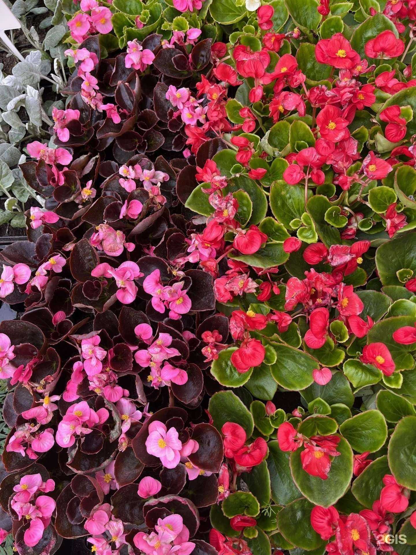 Отзывы на компанию Агрофирма Усадьба в Перми c фото