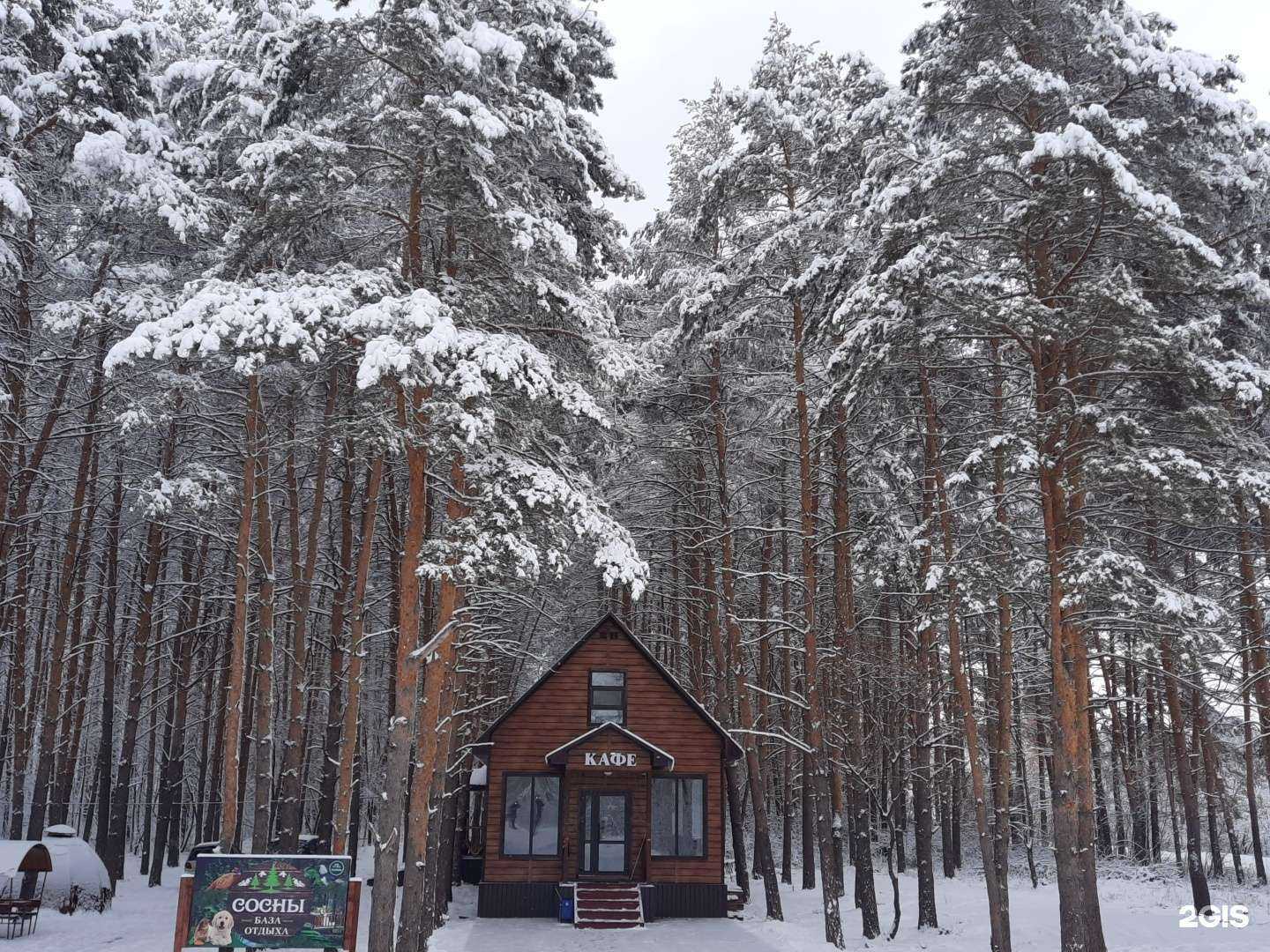 Отзывы на компанию Сосны в Стерлитамаке c фото