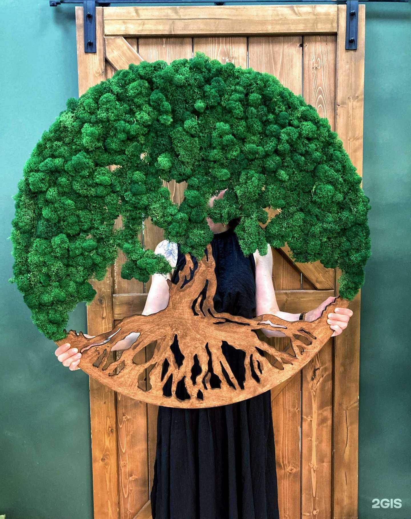 Отзывы на компанию Кипарис в Петрозаводске c фото