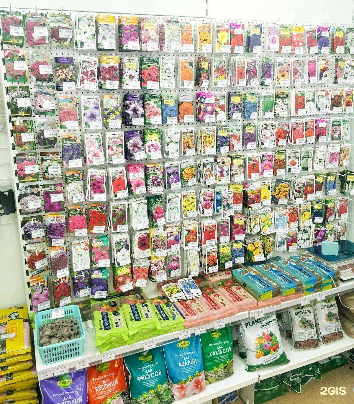 Отзывы на компанию Ева в Новосибирске c фото