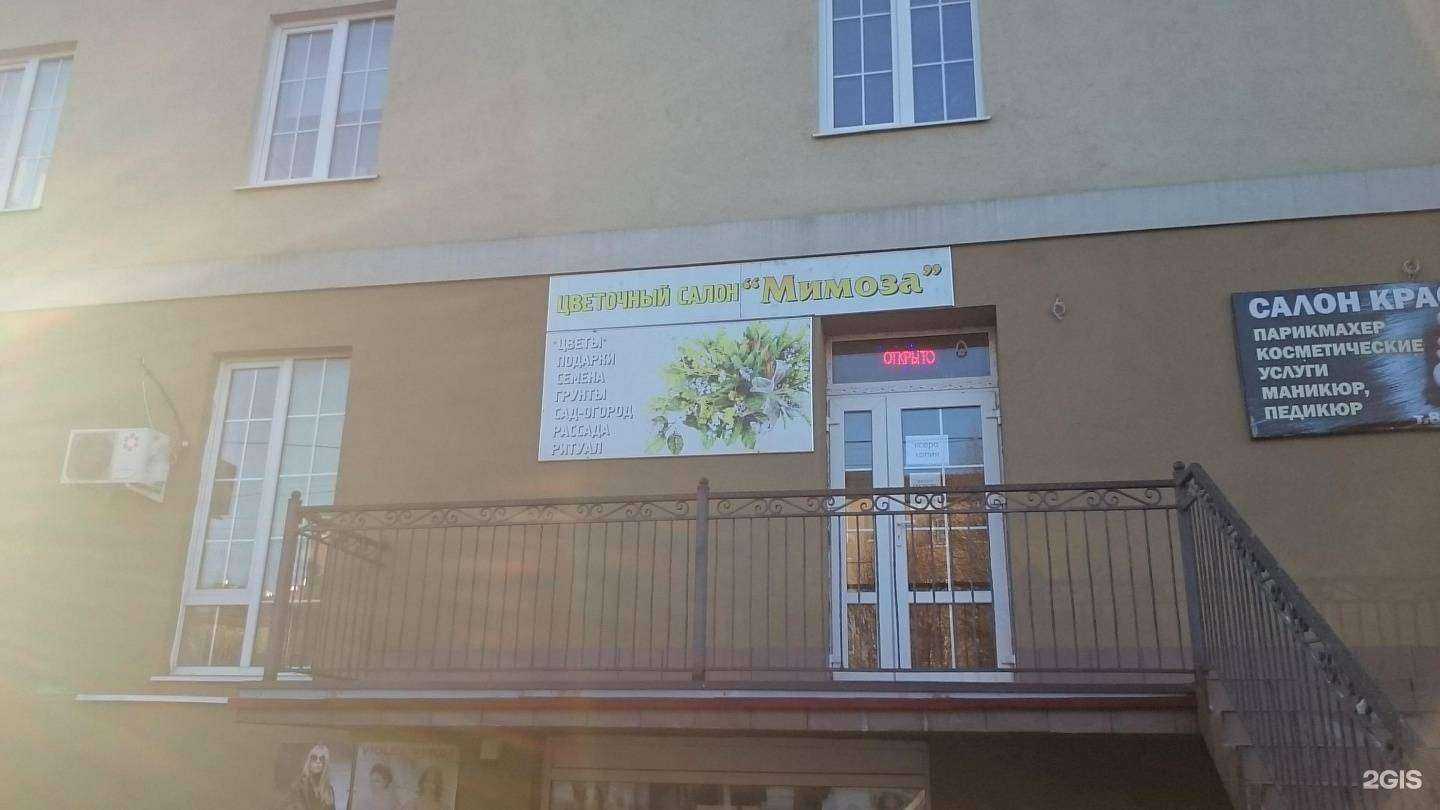 Отзывы на компанию Мимоза в г. Светлогорск c фото