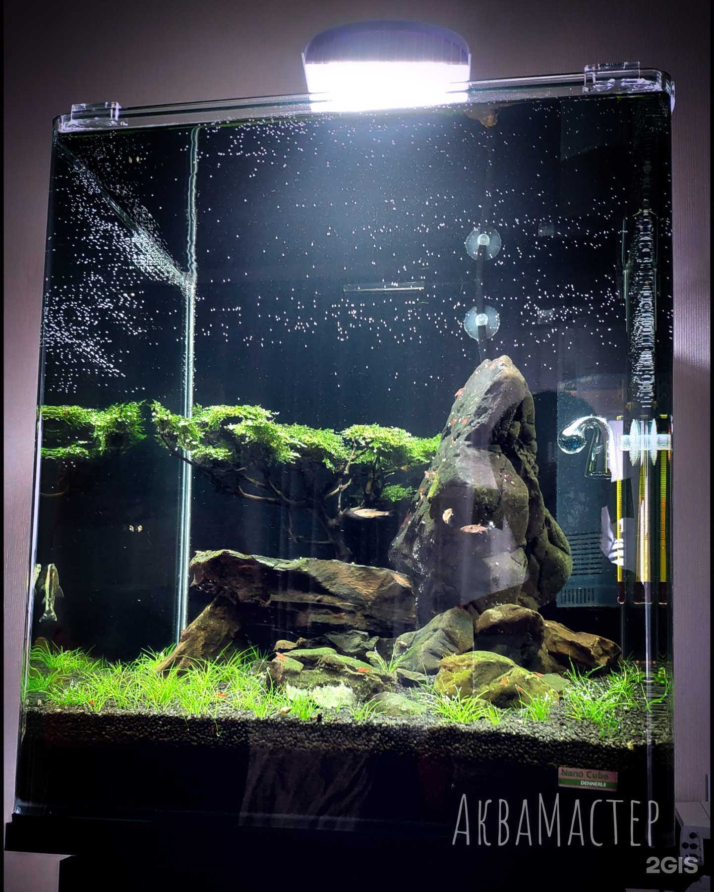 Отзывы на компанию АкваМастер в Казани c фото