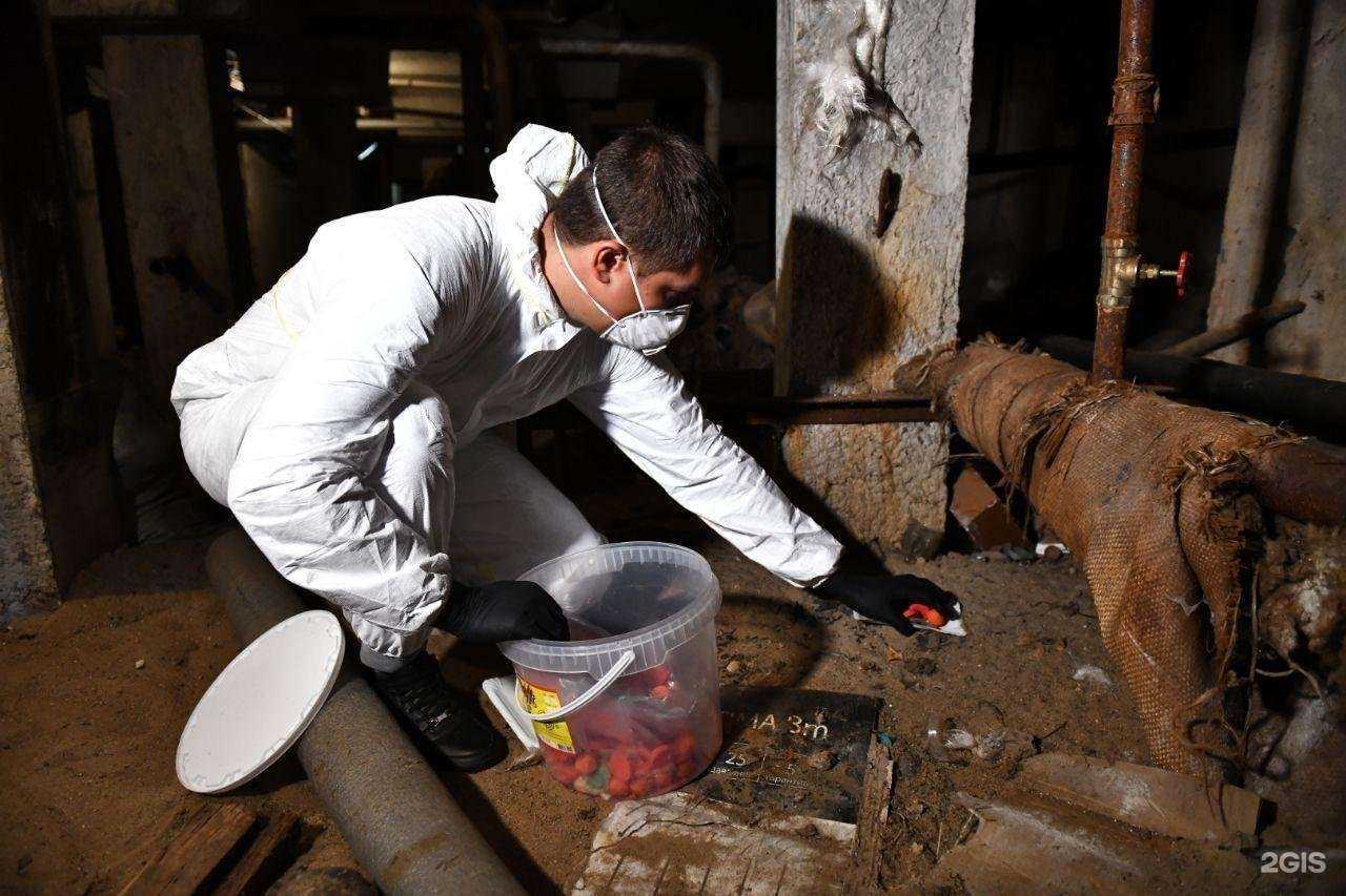 Отзывы на компанию Грандсервис45 в Кургане c фото