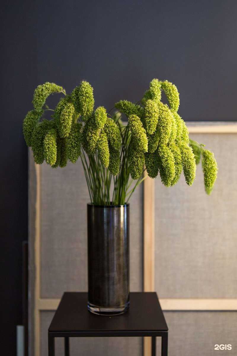 Отзывы на компанию Dizmag в Тюмени c фото