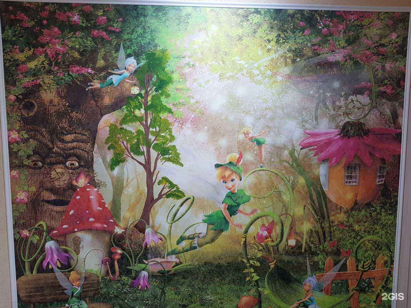 Отзывы на компанию Golden baby в г. Омск c фото