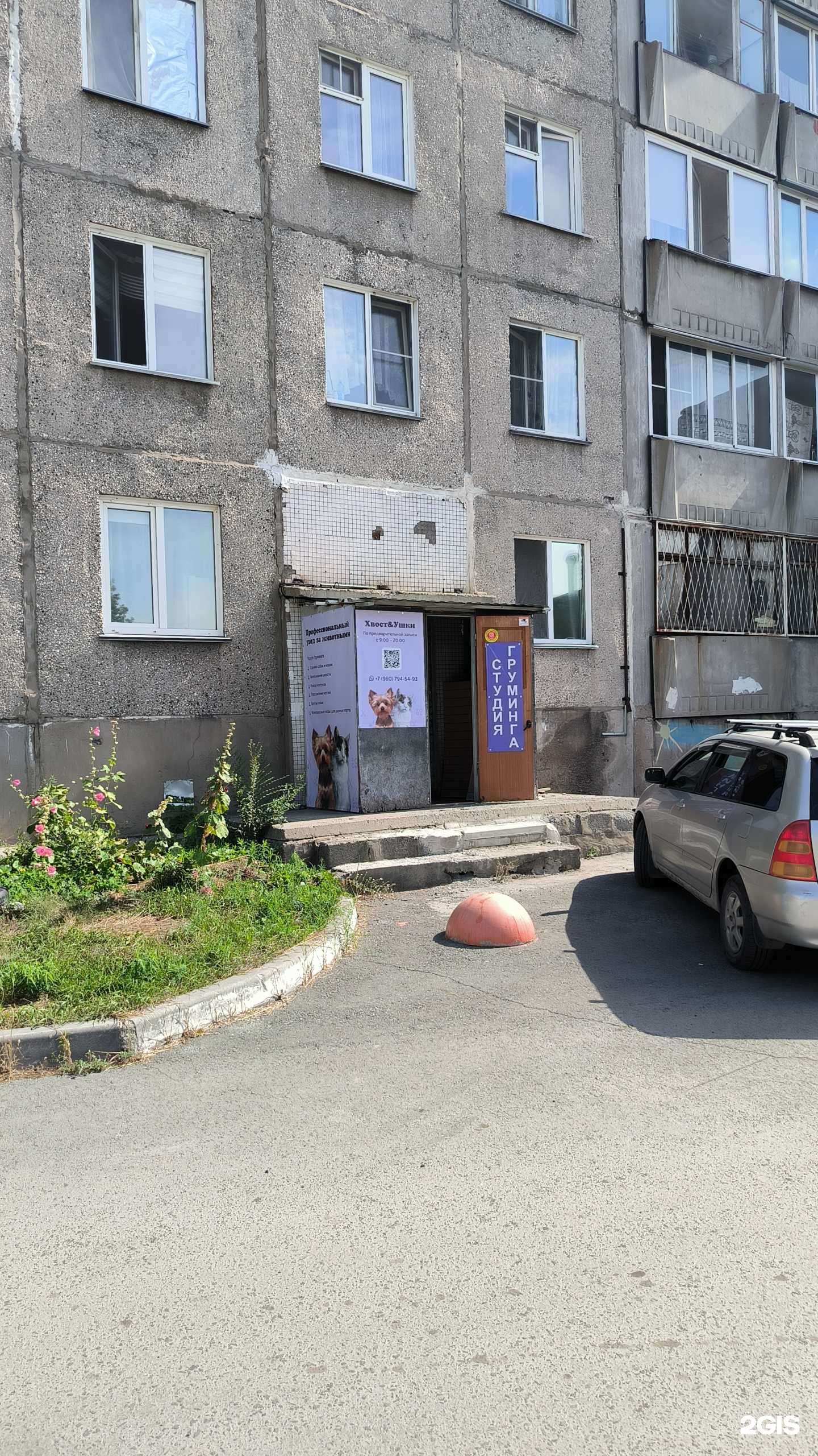 Отзывы на компанию Хвост&Ушки в Новосибирске c фото