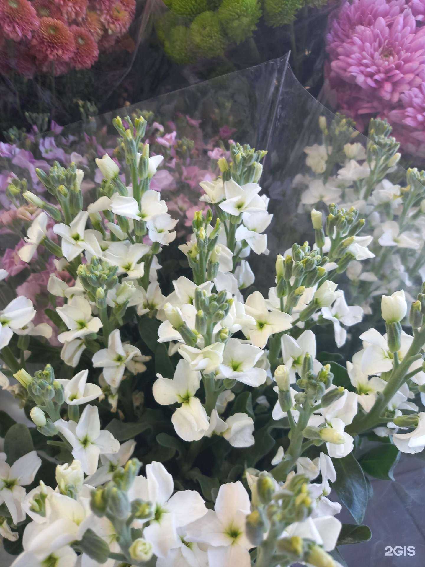 Отзывы на компанию Эвкалипт в г. Краснодар c фото