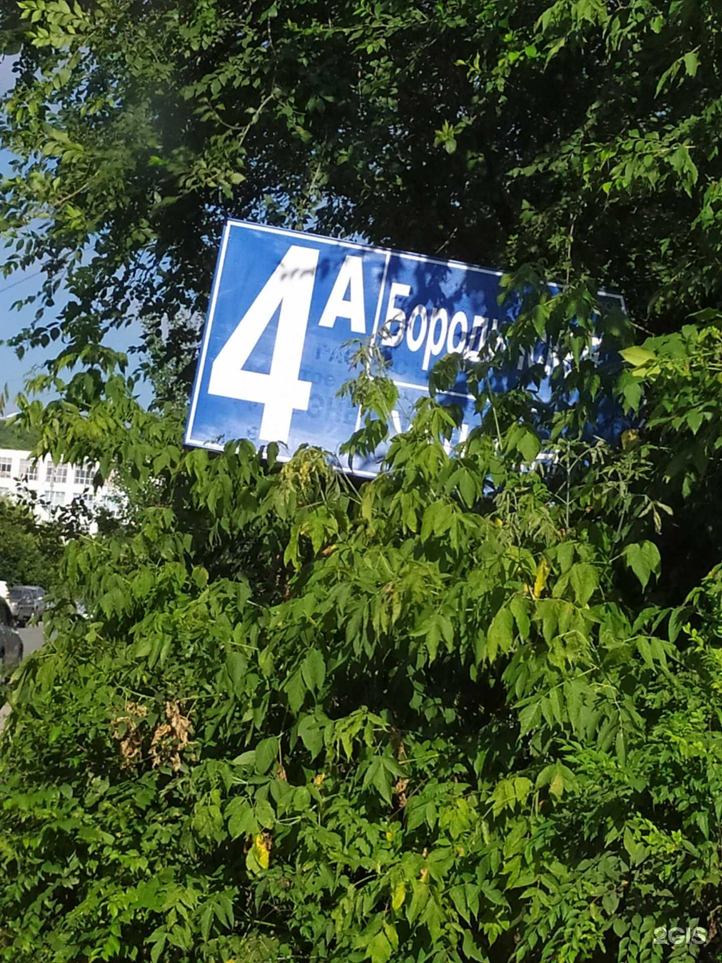 Отзывы на компанию Японамать в Владивостоке c фото - фотография 2 из 2