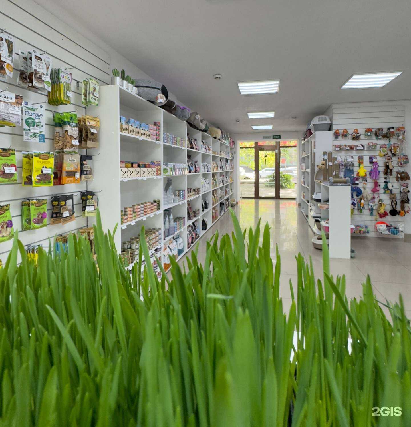 Отзывы на компанию Центр в Ростове-на-Дону c фото