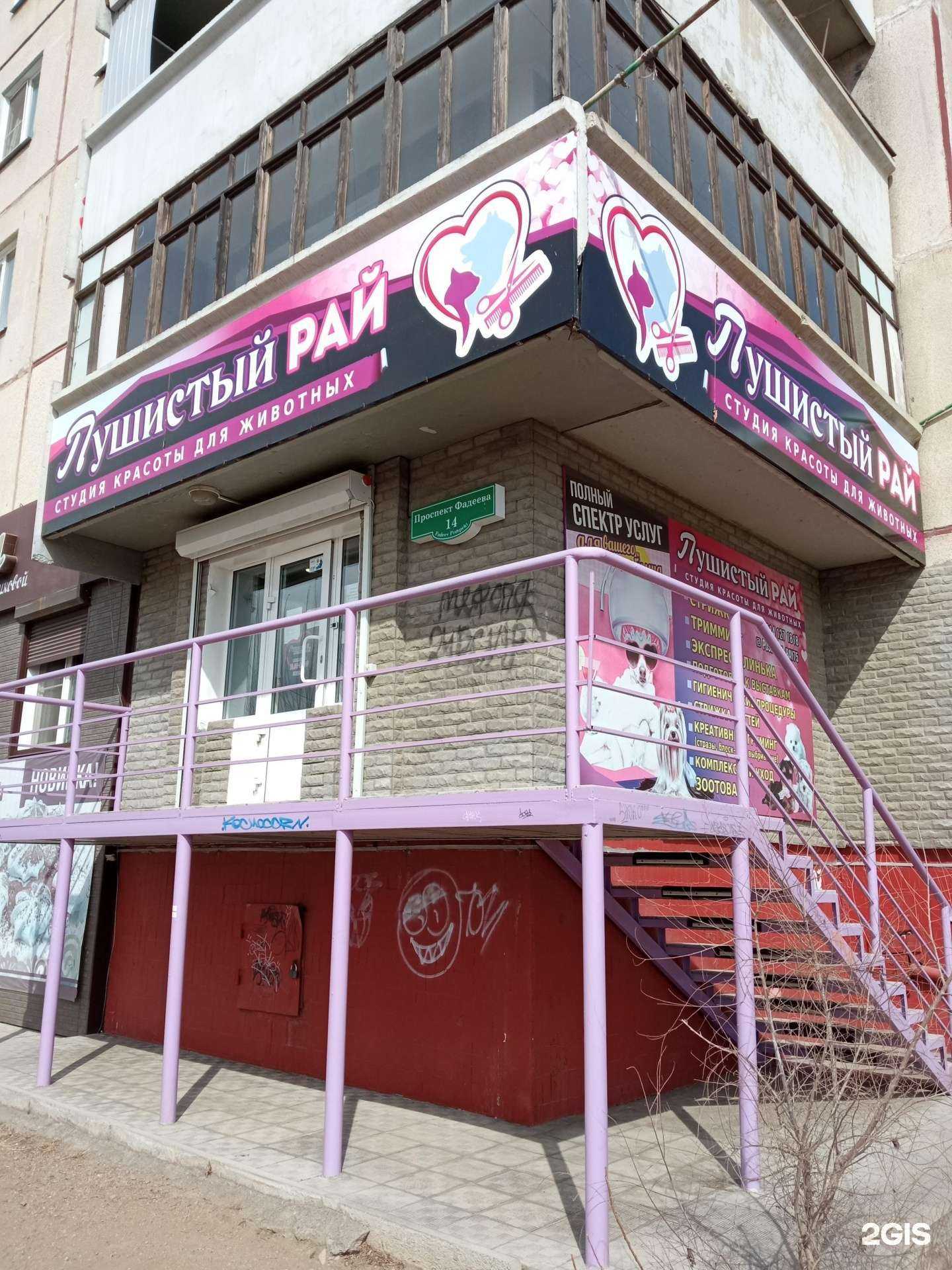 Отзывы на компанию Пушистый рай в Чите c фото