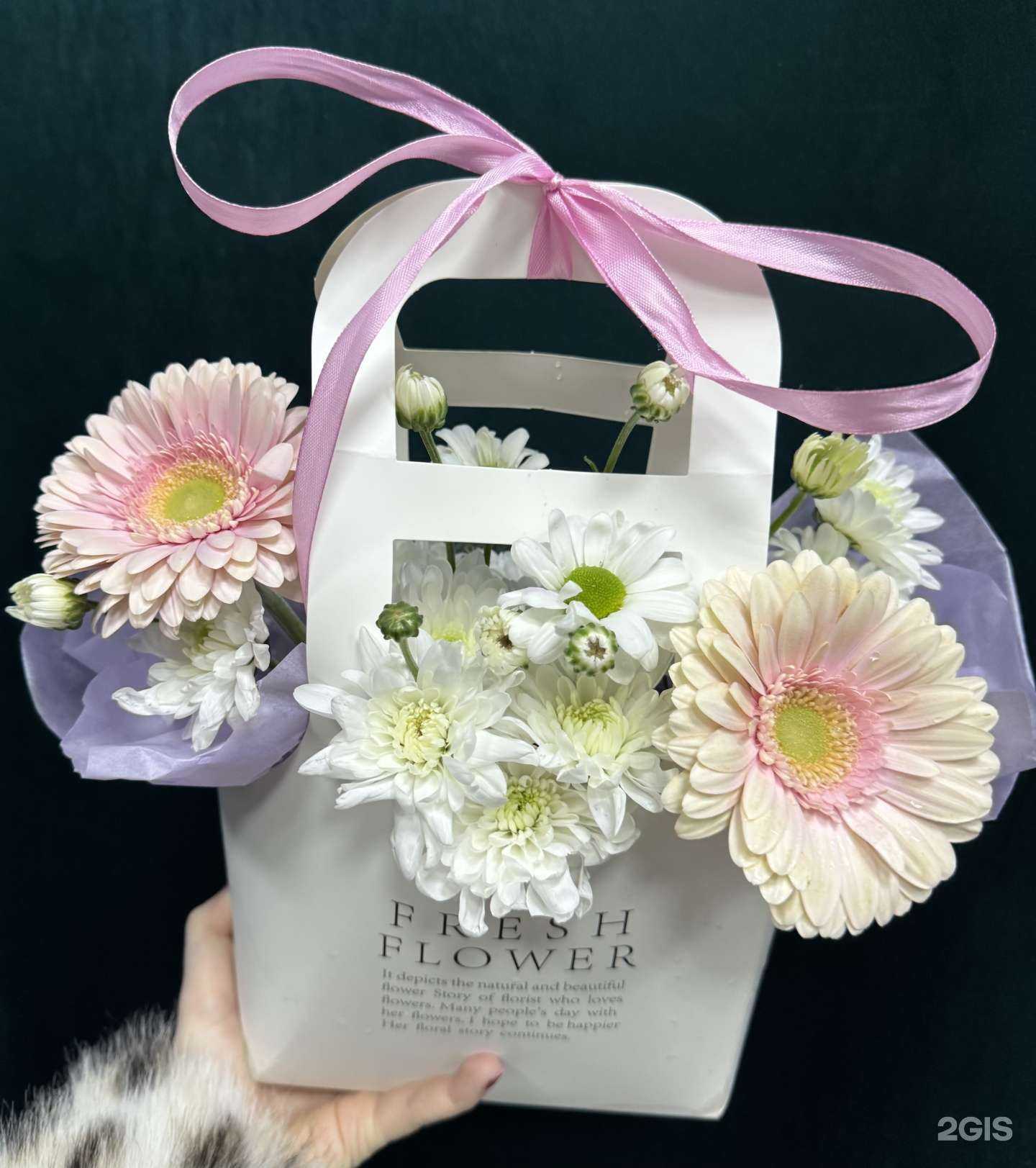 Отзывы на компанию Fresh в Набережных Челнах c фото