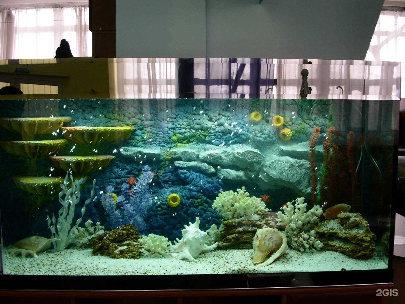 Отзывы на компанию Аквасервис в Новосибирске c фото