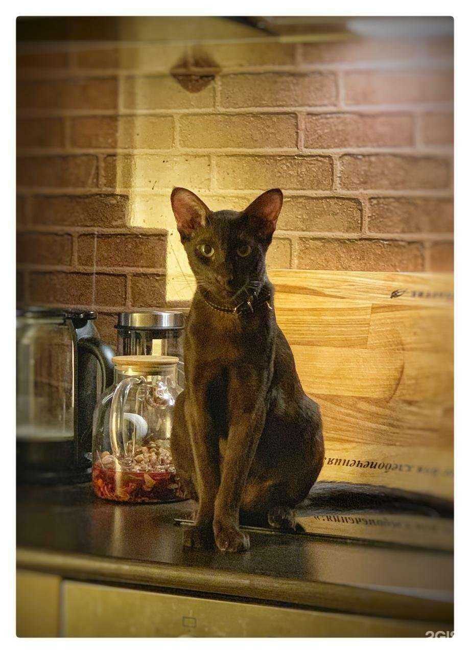 Отзывы на компанию Единорог в г. Пермь c фото