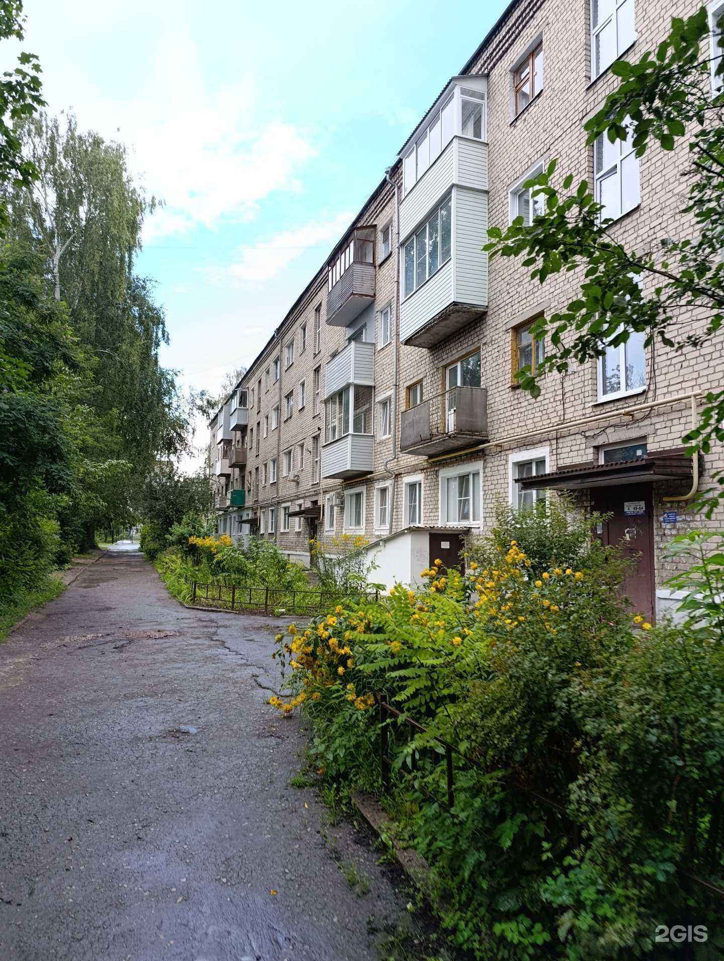 Отзывы на компанию Академия развития в Муроме c фото - фотография 2 из 2