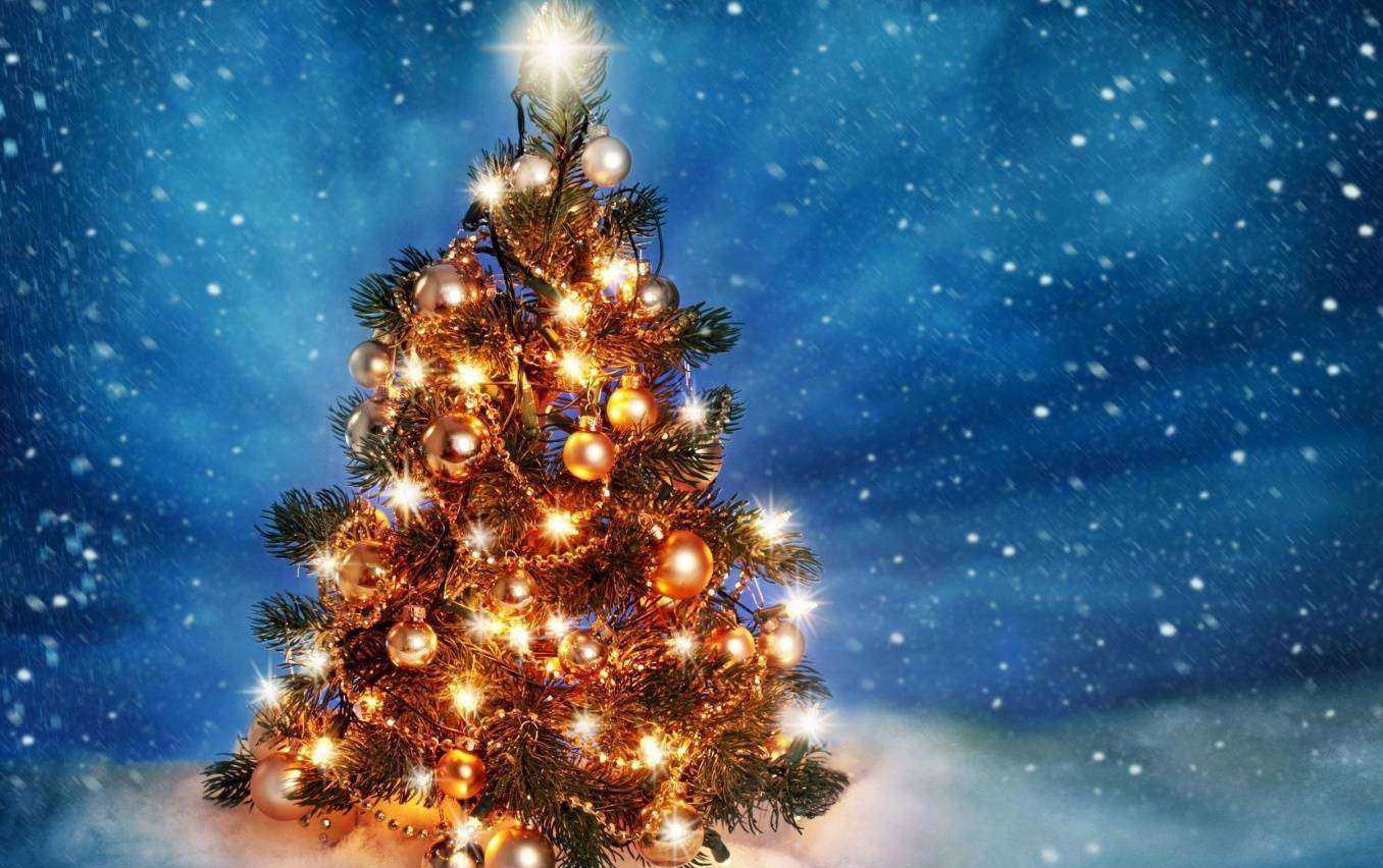 Отзывы на компанию Остров в Твери c фото