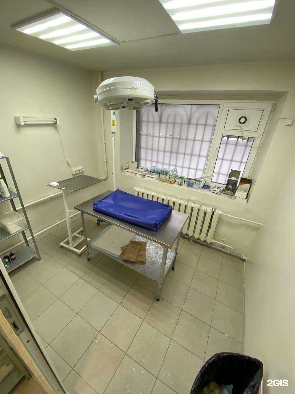 Отзывы на компанию Маленькая жизнь в Магнитогорске c фото