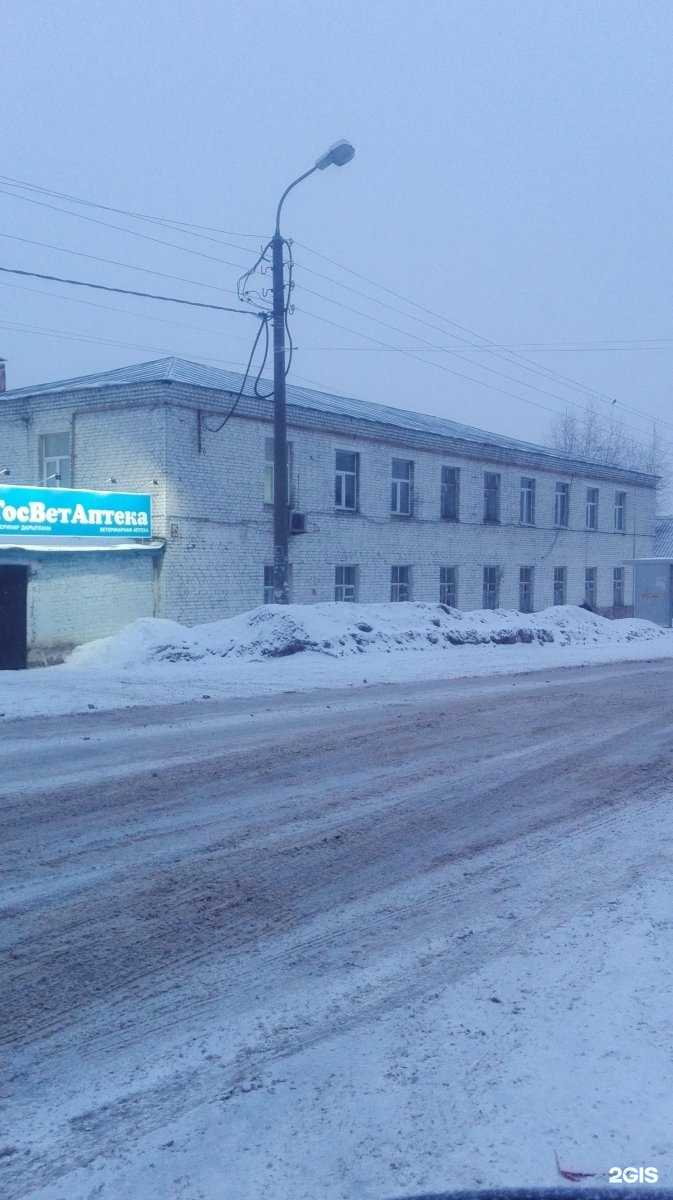 Отзывы на компанию Ветеринарный кабинет в Уфе c фото - фотография 2 из 2