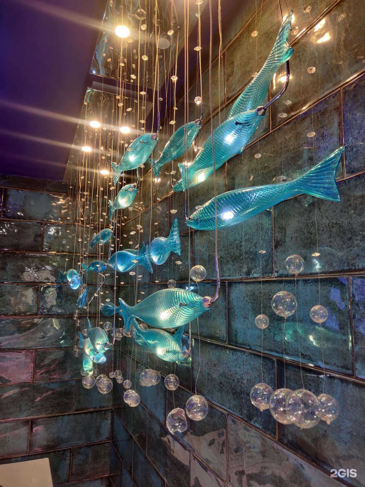 Отзывы на компанию Рыбы много в Новосибирске c фото