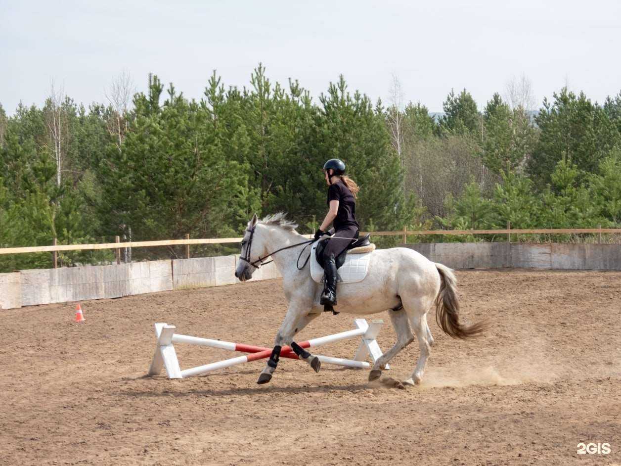 Отзывы на компанию Вперед к мечте в г. Железногорск c фото