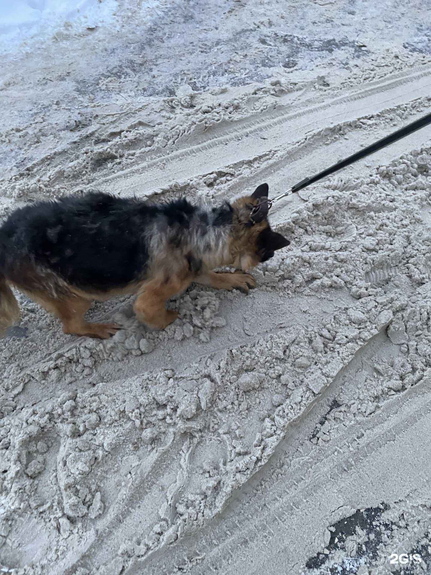 Отзывы на компанию Ника в г. Владимир c фото