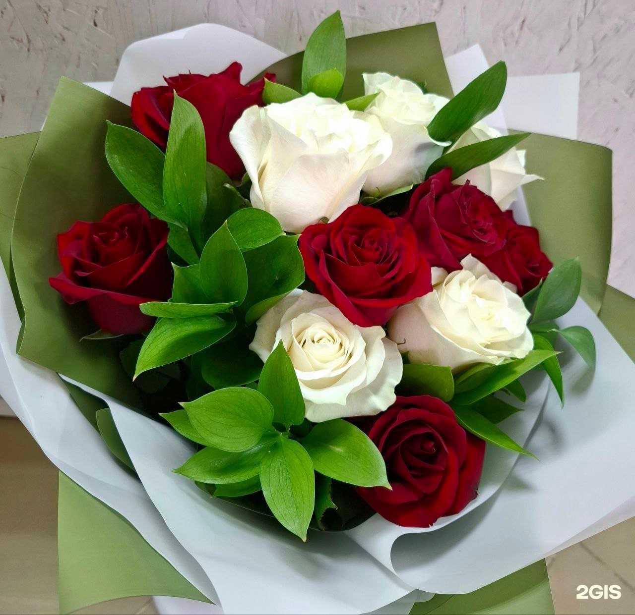 Отзывы на компанию Пиония в Барнауле c фото