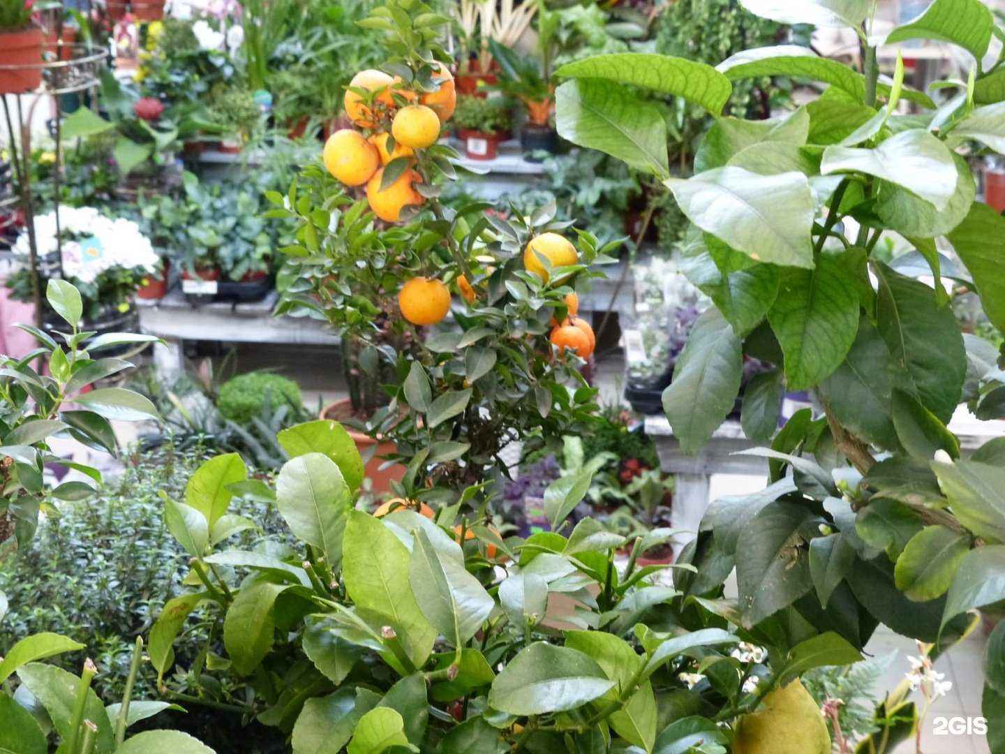 Отзывы на компанию Юнифлер в г. Ростов-на-Дону c фото