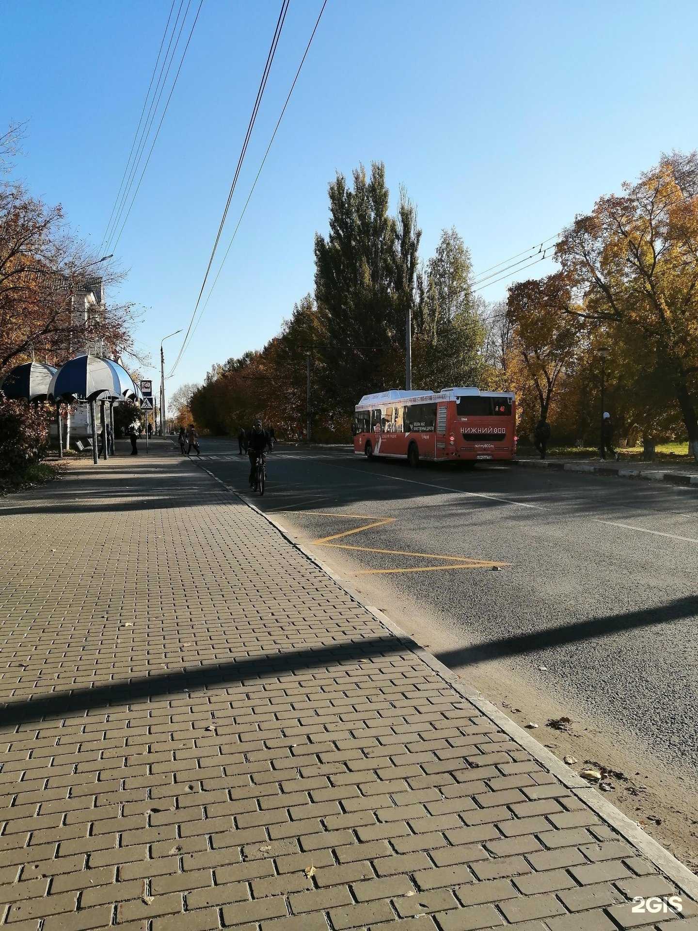 Отзывы на компанию Шишка в Нижнем Новгороде c фото - фотография 2 из 2