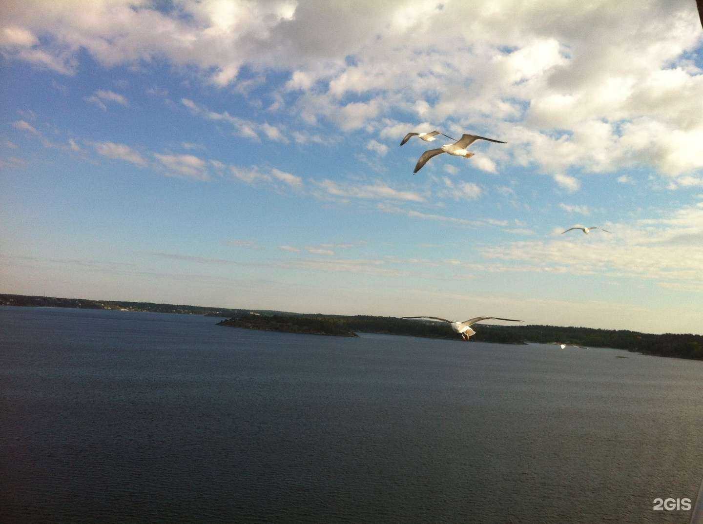 Отзывы на компанию Акварель-круиз в г. Самара c фото