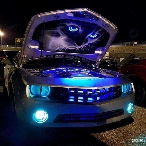 Отзывы на компанию Чемпион авто в г. Артём c фото