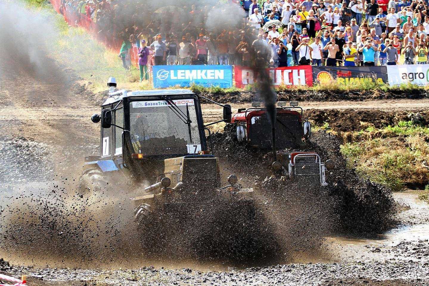 Отзывы на компанию Бизон Юг в г. Сальск c фото