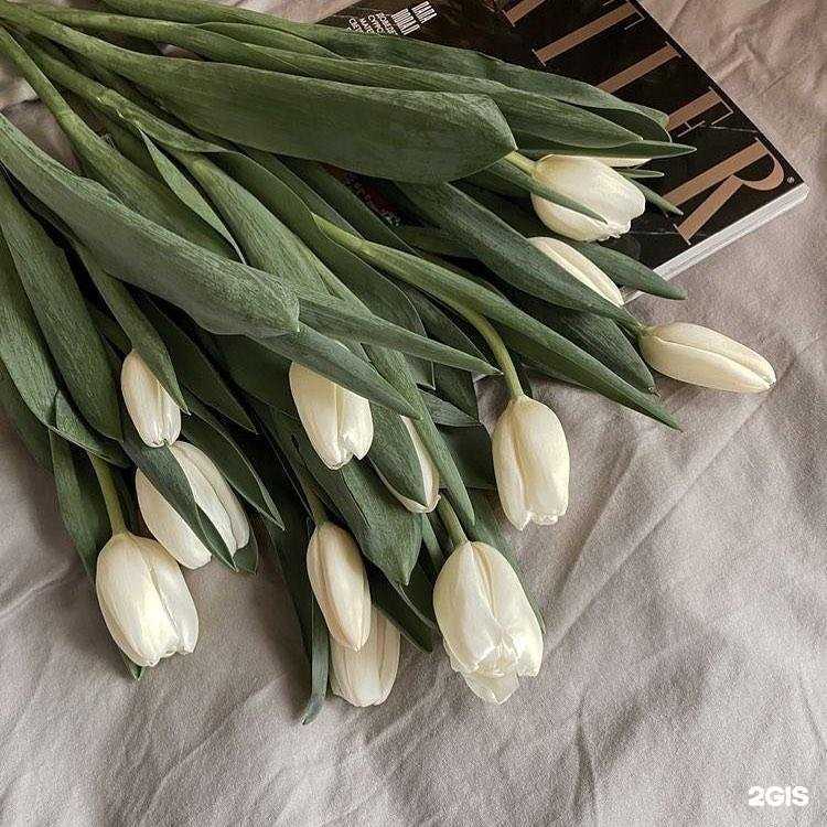 Отзывы на компанию Your body в Вологде c фото