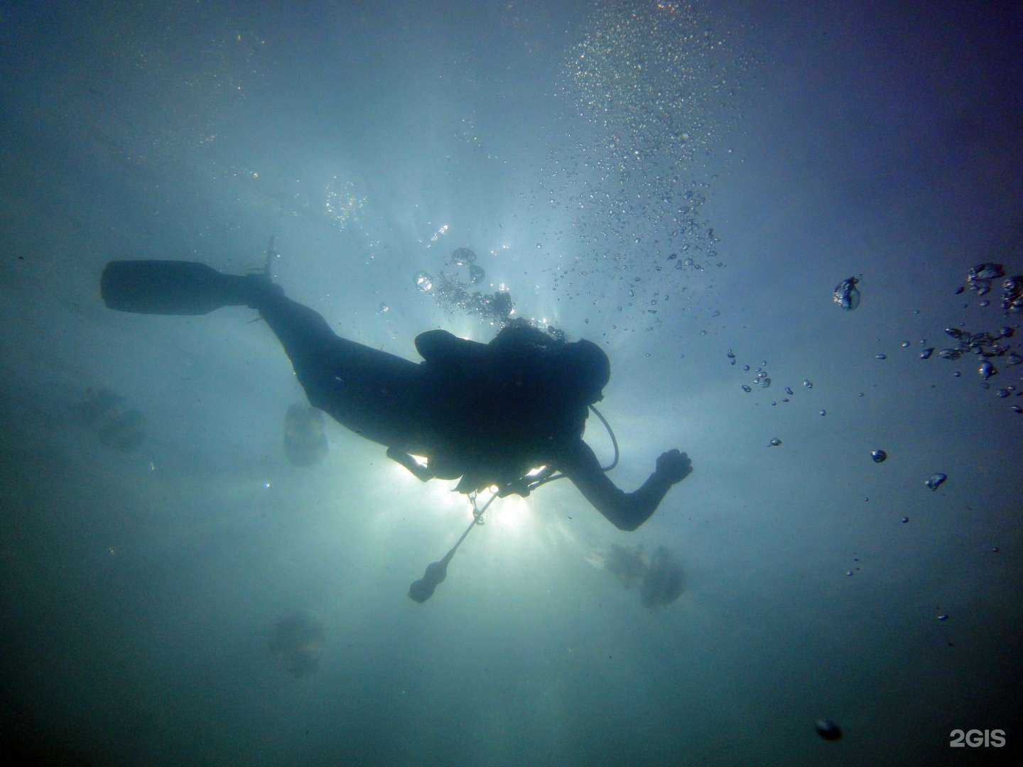 Отзывы на компанию Морская звезда в Анапе c фото