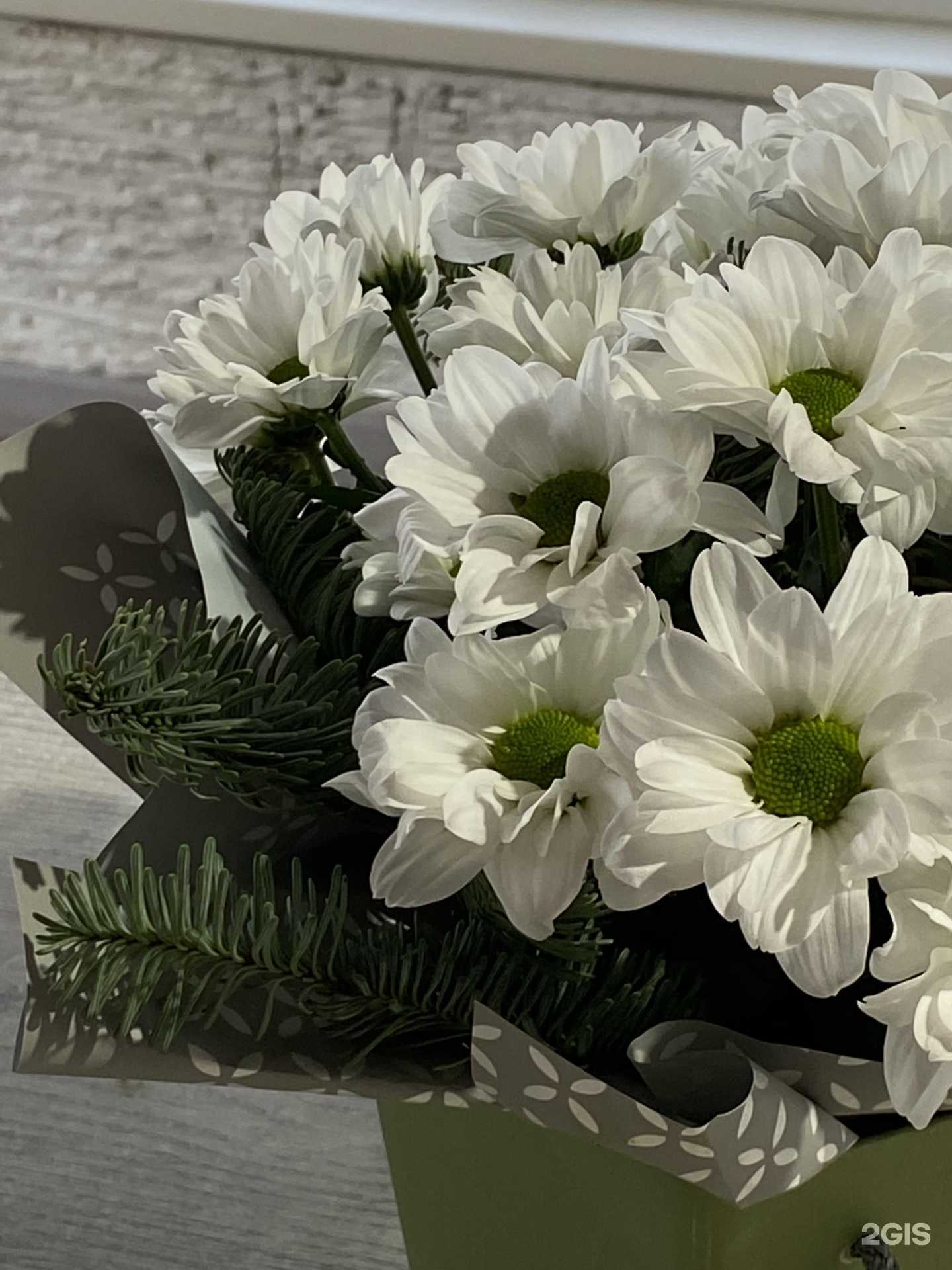 Отзывы на компанию Орхидея в Прокопьевске c фото