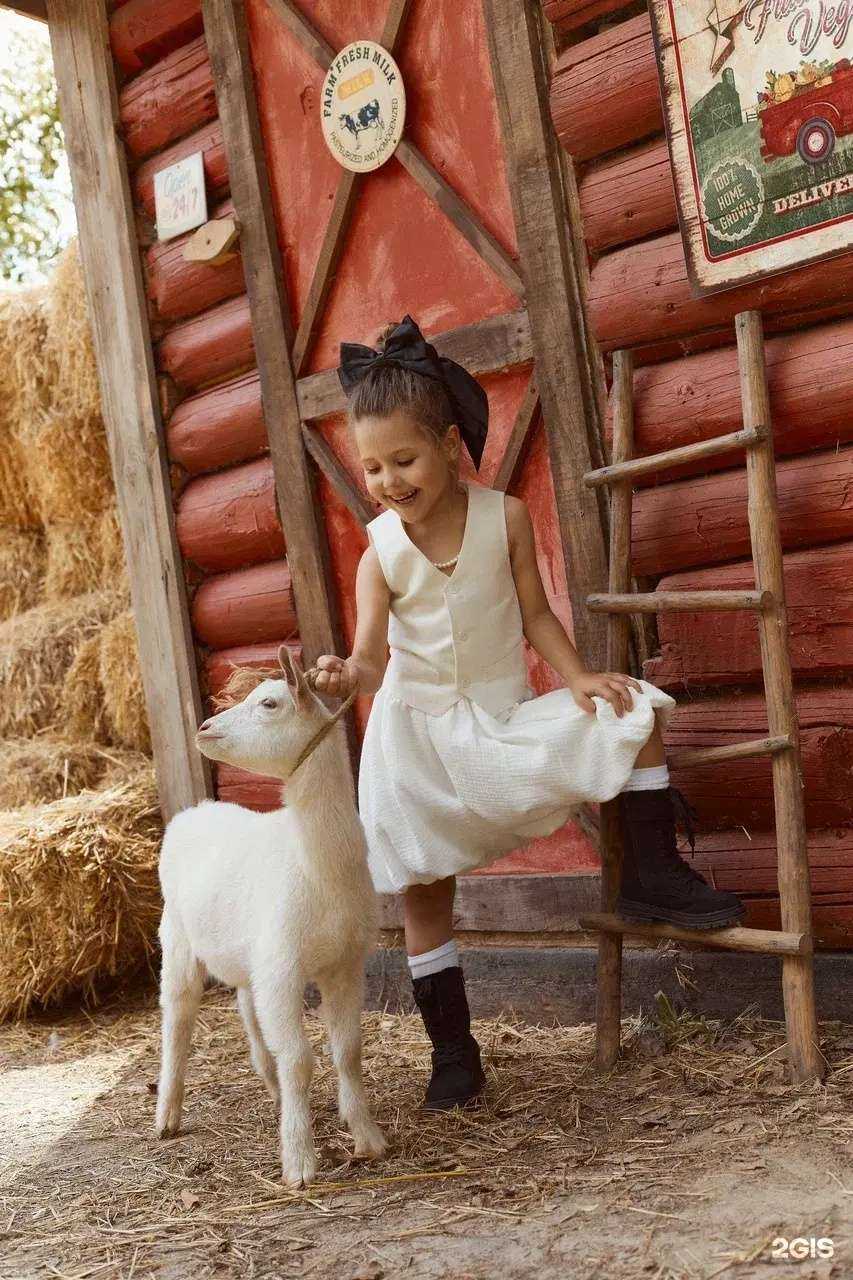 Отзывы на компанию Chado в Казани c фото