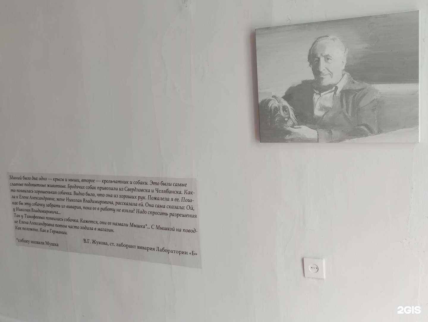 Отзывы на компанию Лаборатория Б в Снежинске c фото