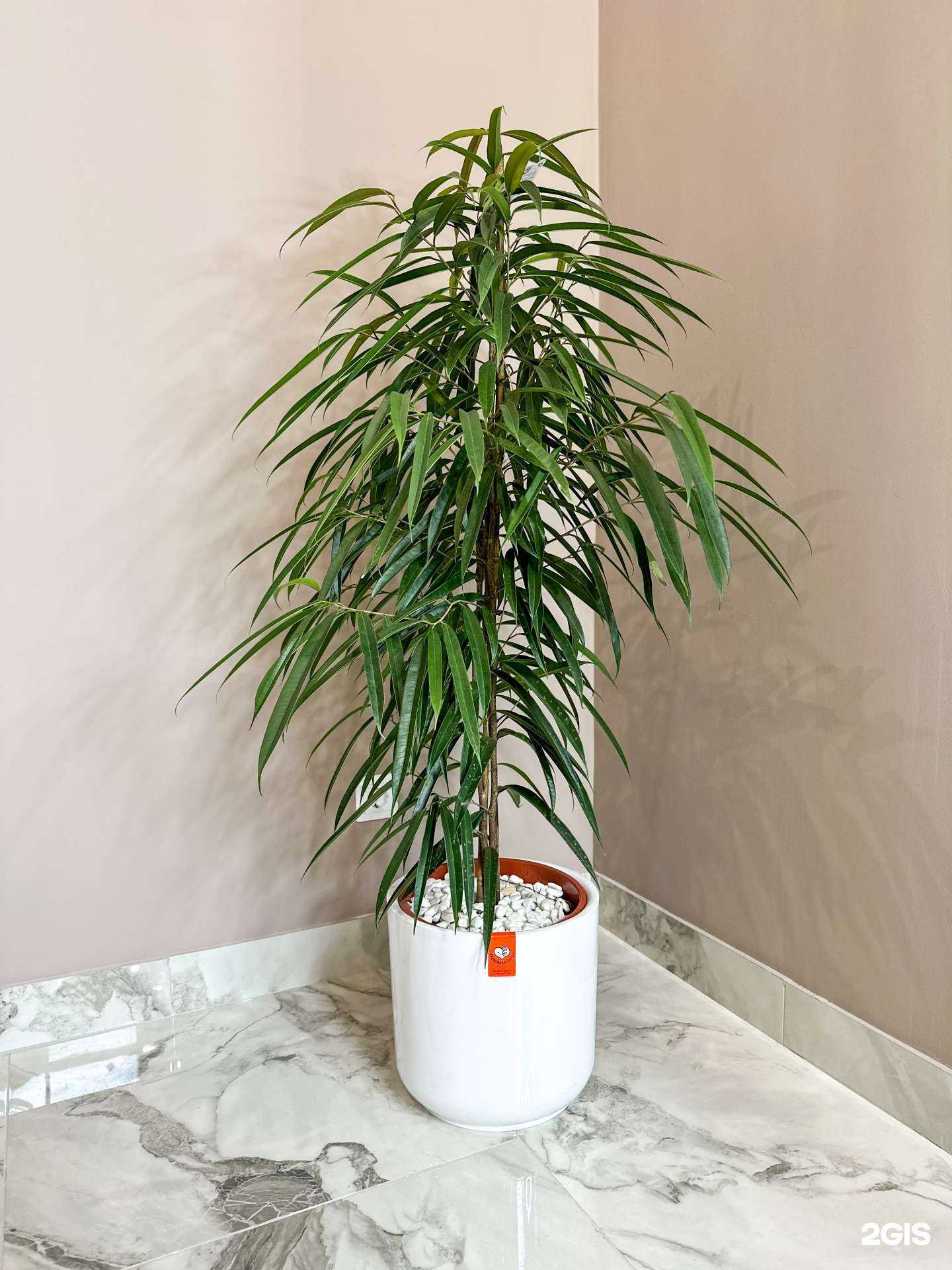 Отзывы на компанию Bouquet`s Lab в Коммунарке c фото