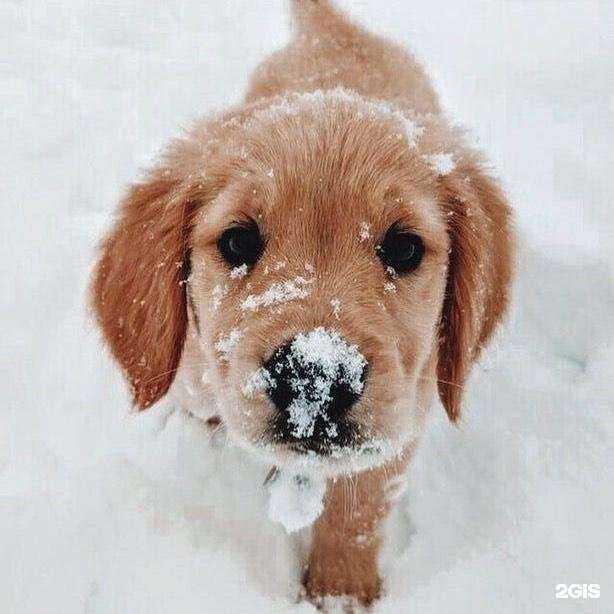 Отзывы на компанию Аншлаг71 в г. Тула c фото