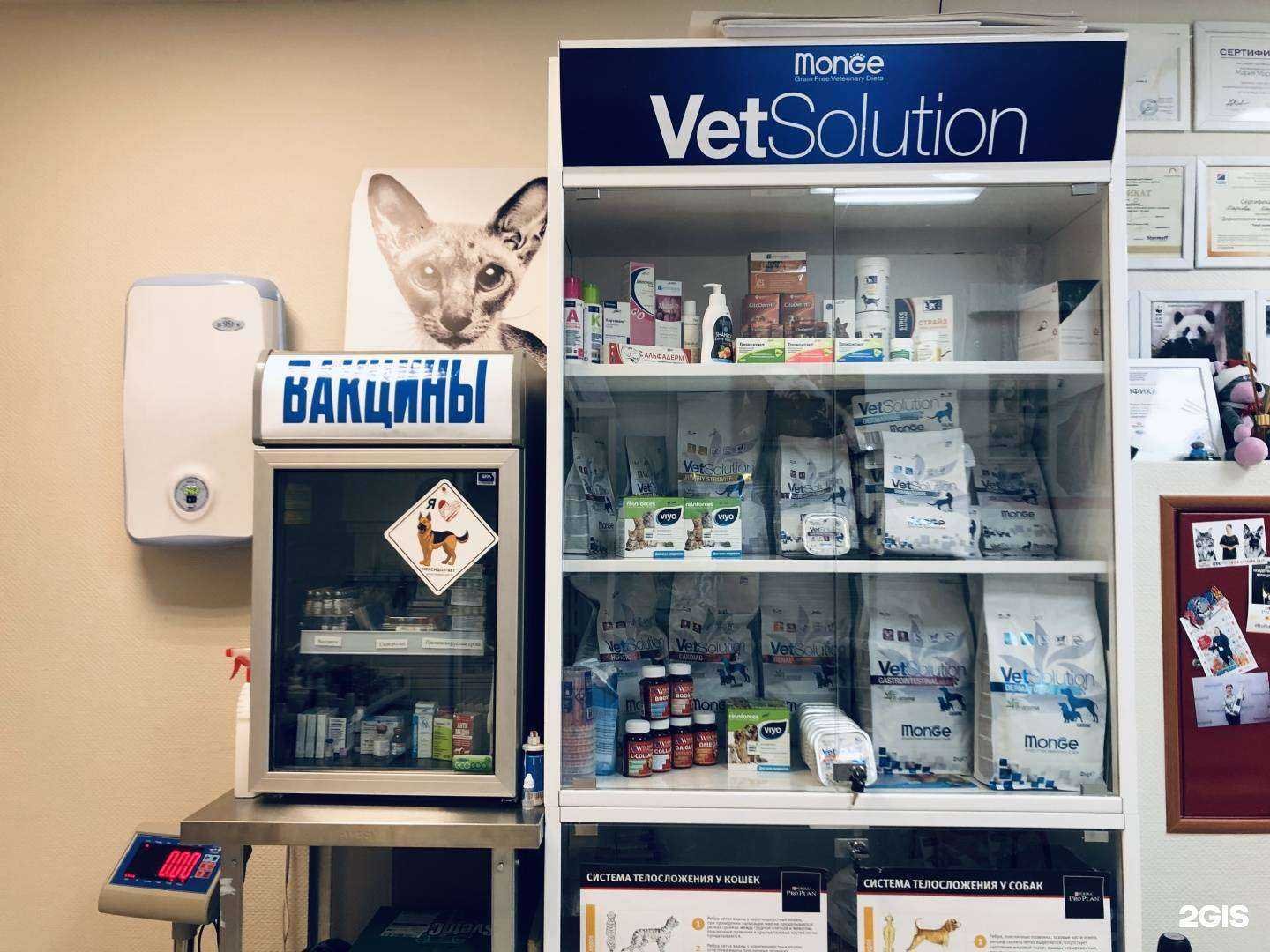 Отзывы на компанию Хамелеон в Королёве c фото