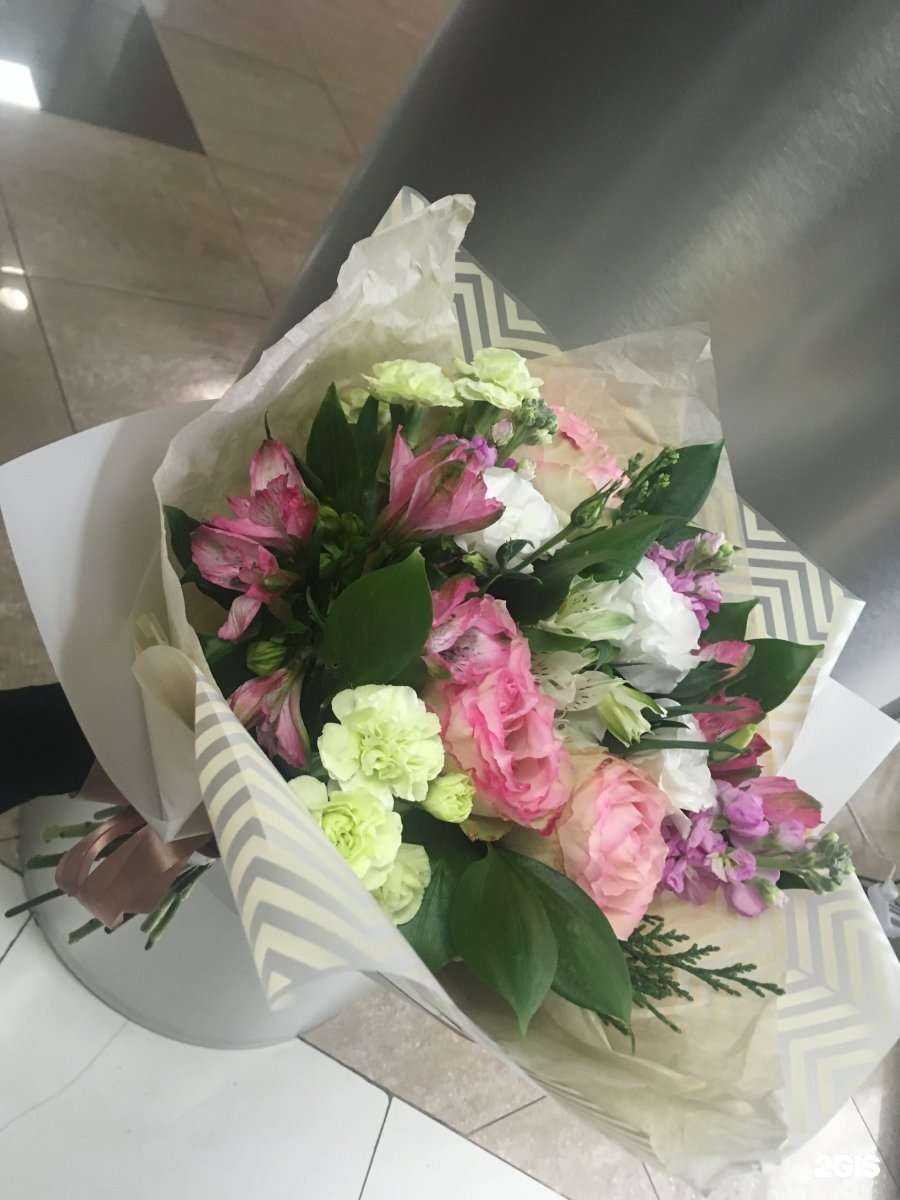 Отзывы на компанию Клевер в г. Новокузнецк c фото