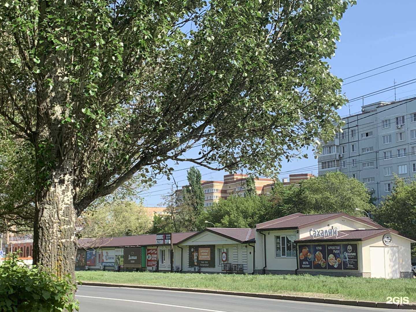 Отзывы на компанию Сахалин в Тольятти c фото - фотография 2 из 2