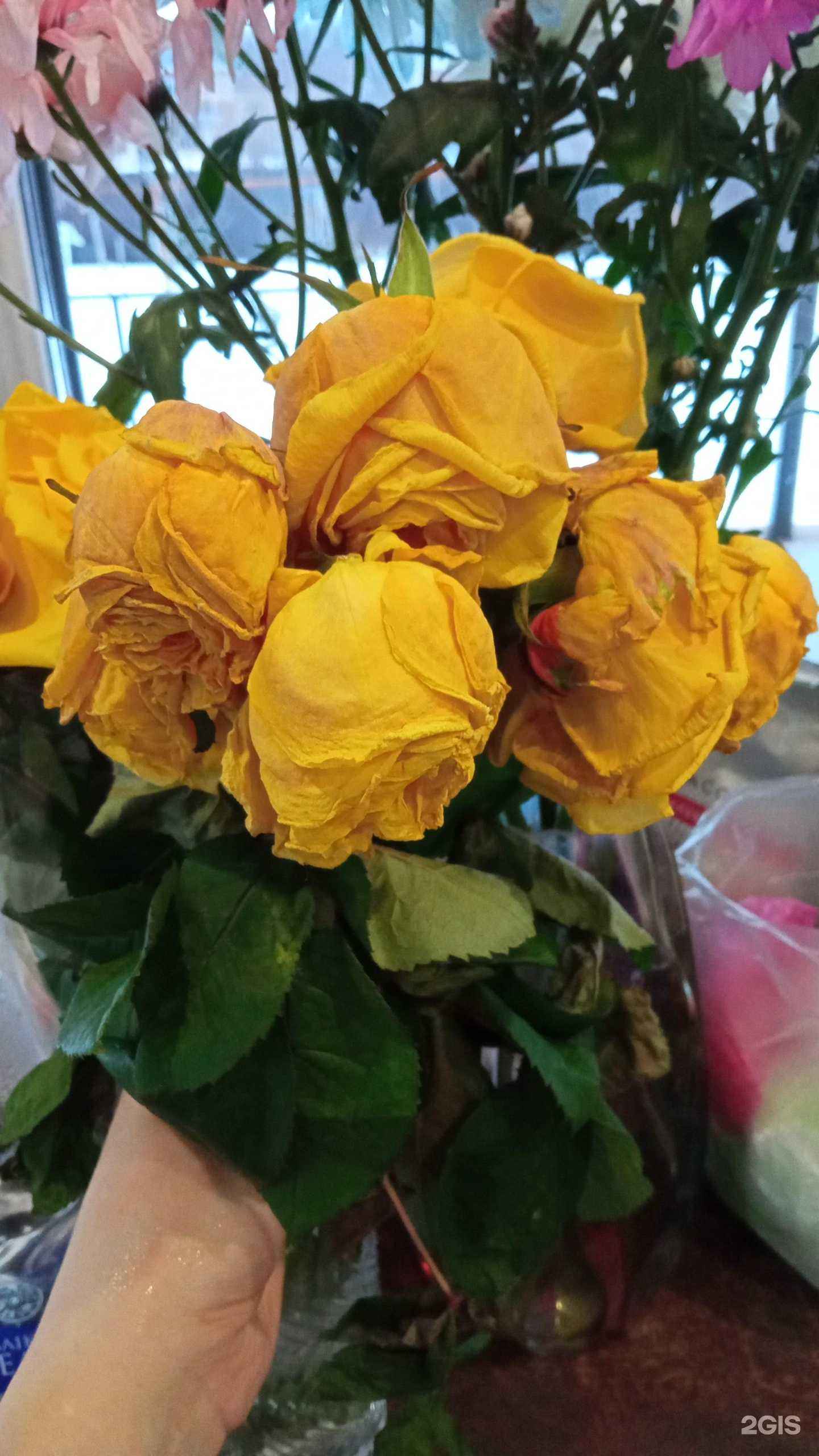 Отзывы на компанию Ангаж в г. Воронеж c фото