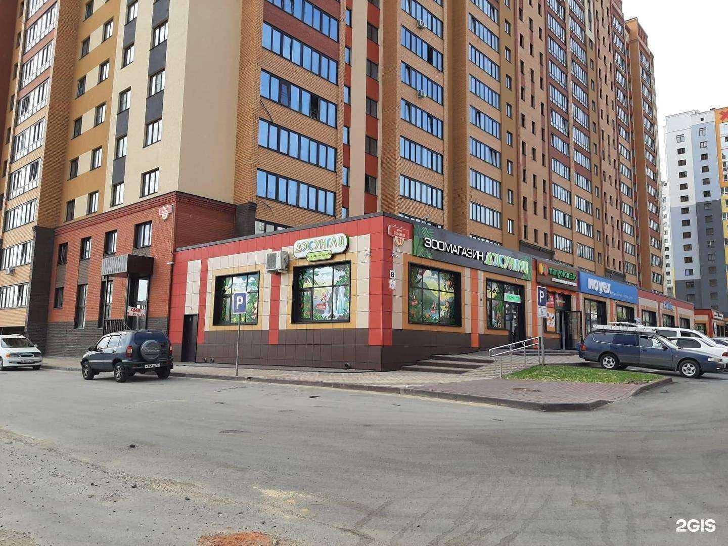 Отзывы на компанию Джунгли в г. Барнаул c фото