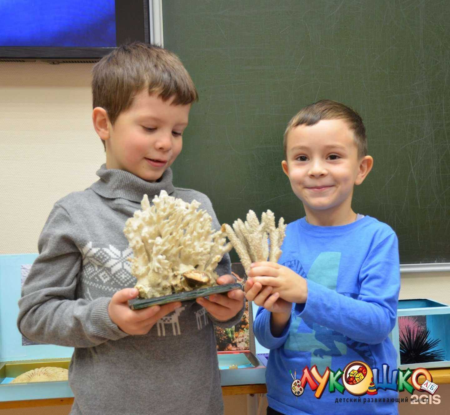 Отзывы на компанию Лукошко в Тюмени c фото