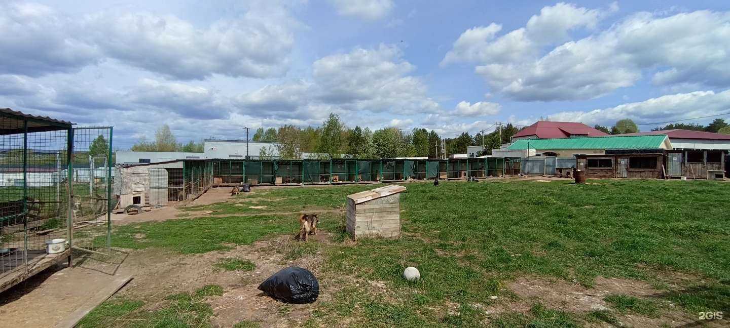 Отзывы на компанию Бетховен в Елабуге c фото - фотография 2 из 2