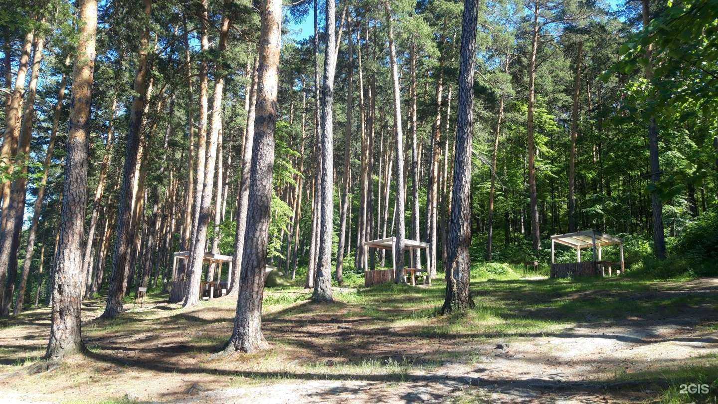 Отзывы на компанию Тур в Миассе c фото