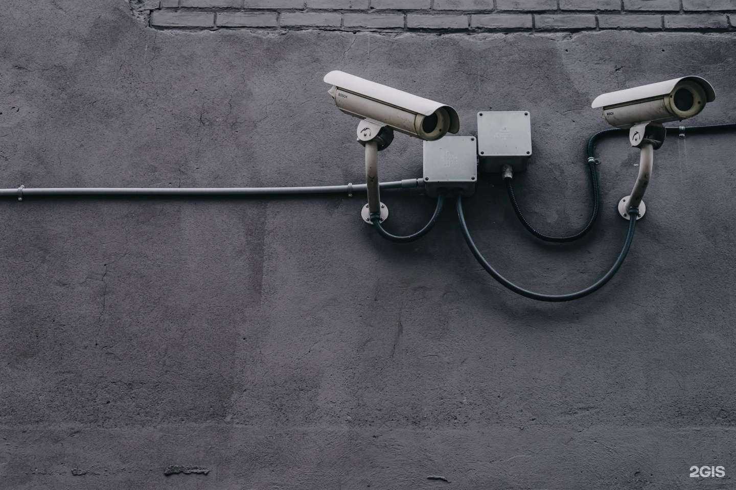 Отзывы на компанию Единство в Новосибирске c фото