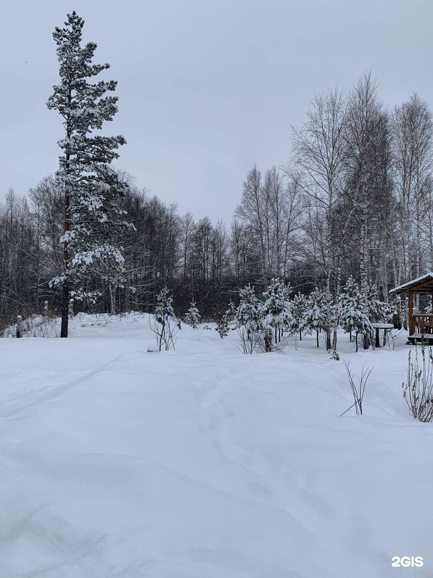 Отзывы на компанию Сибирь в г. Киселёвск c фото