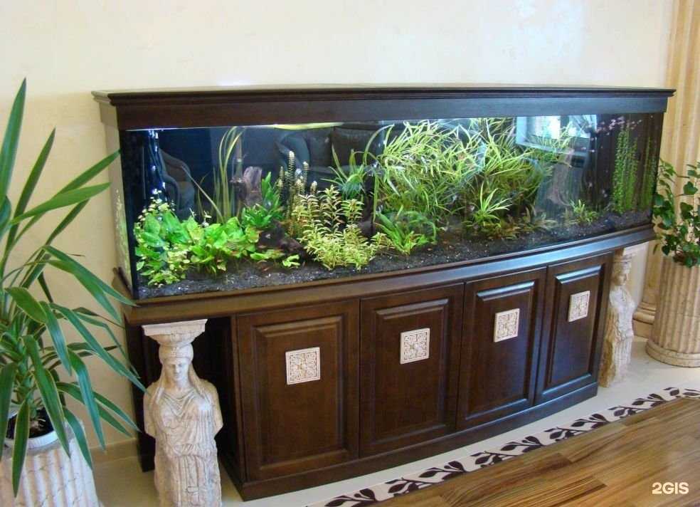 Отзывы на компанию Кормушка в Брянске c фото