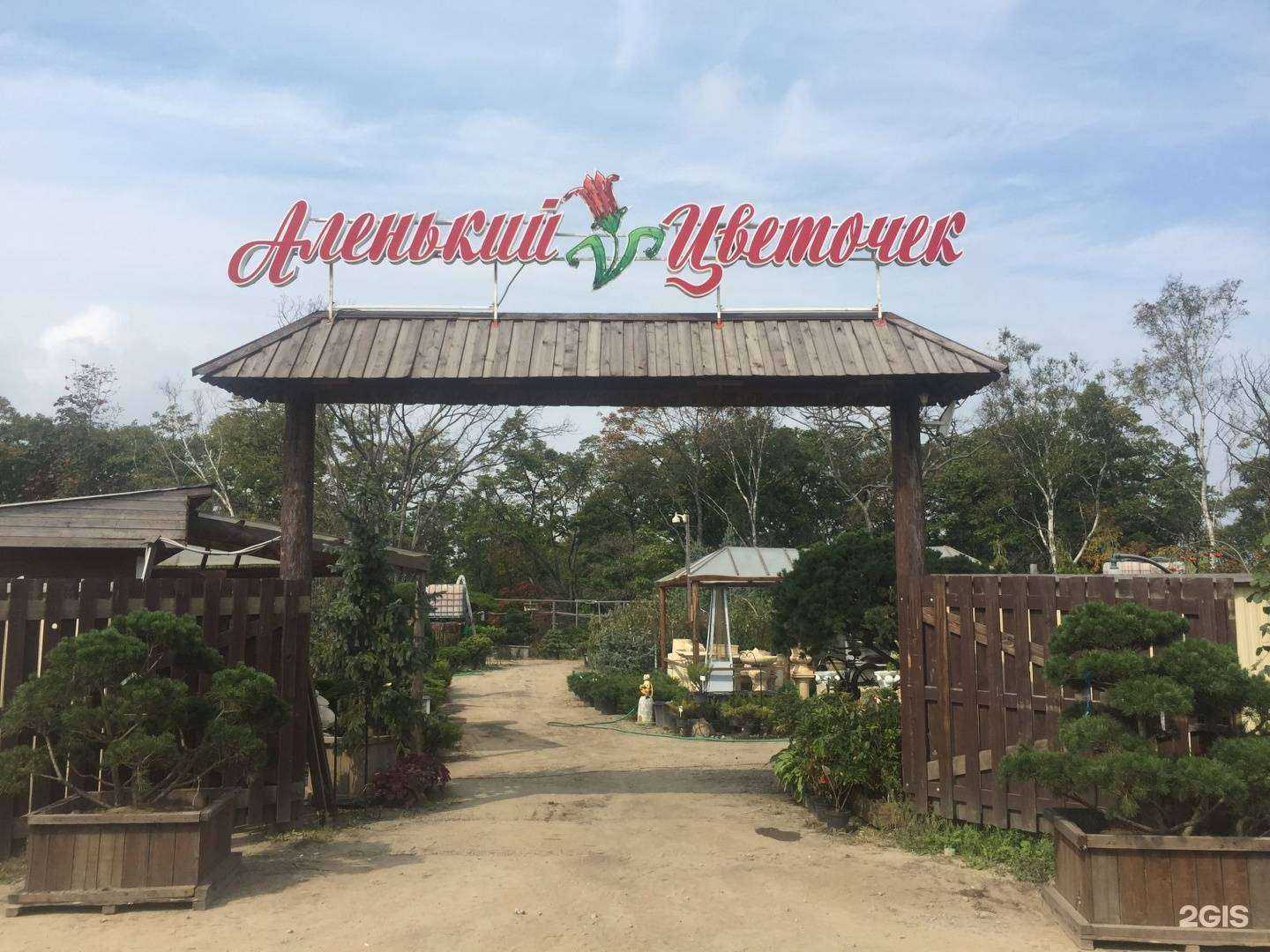 Отзывы на компанию Аленький цветочек в Владивостоке c фото